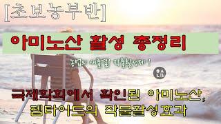 [초보농부반] 국제학회에서 확인된 아미노산의 작물활성 효과, 아미노산, 펩타이드의 작물활성효과를 국제학회에서 발표된 자료로 종합정리했습니다.
