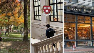 A Full Day as a Harvard Physics Student