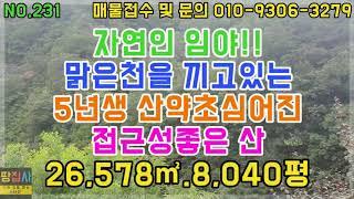 자연인임야! 약초 심어진 접근성 좋은 임야! 전기,수도 용이! 26,578㎡/8,040평 (영양군 청기면 토지매매)