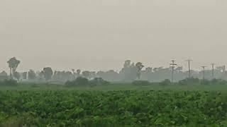 Agricalture land for sale in district kasur 03044554734 #viral #shorts #reels #short #lahore #land