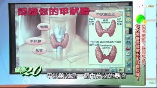 甲狀腺消腫軟化中藥材 健康2.0 20160102 (1/4)