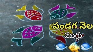 Dhanurmasam muggulu || sankranthi rangolis || chukkala muggulu || rangoli ||