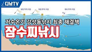 저수온기 감성돔낚시 최종 해결책! 잠수찌낚시 [디낚TV 낚시공부방]