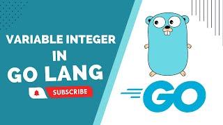 Introduction to Go Language  : Variable Integer