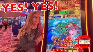 THIS PEACOCK HAD US ON THE EDGE OF OUR SEATS!  We Play A Dragon Link Slot Machine