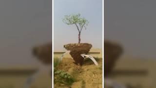Mati Utsob Buurdwan M/Biswajit Ghosh