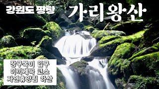 강원도 평창 가리왕산코스영상/장구목이 입구-이끼계곡코스-가리왕산(원점회귀)-자연휴양림 하산 11km/6시간  #계곡물놀이 #100대명산