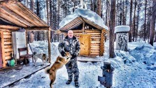 Живу в тайге... Лучший ужин в Лесной Избе. Скинул снег с бани.