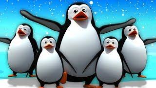 5 Chú Chim Cánh Cụt Nhỏ | Vần Điệu Trẻ | Bài Hát Trẻ Em | Five Little Penguins | Kids Tv Vietnam