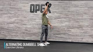 Alternating Dumbbell Snatch