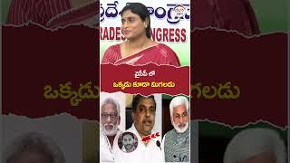 YS Sharmila Comments On YCP Party | #ysjagan | #apnews | #shorts | #trening | #ytshorts | #yuvagalam