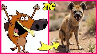 Zig and Sharko Characters In Real Life + Squint Your Eyes + Their Favorite Foods, Movies & More!