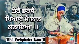 Dodra  Kirtan | Bibi Pushpinder Kaur ji USA | Akj