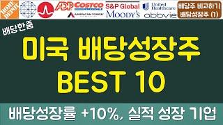 미국주식 배당성장주 BEST10 (QQQ보다 높은 투자 수익률 포트폴리오)