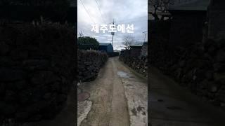 제주에서 부동산 구입시 주의할 점