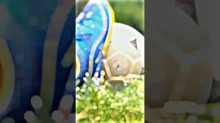 Football LoverMotivation WhatsApp status Tamil//#shorts  #supportme //#PmCreationTamil