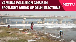 Yamuna River | Yamuna Pollution Crisis Sparks Urgent Calls For Action Ahead of Delhi Elections