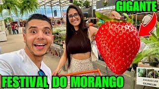 Conhecendo o Festival de Morango em ATIBAIA, o Maior da América Latina TEM DE TUDO | BN Vlogs