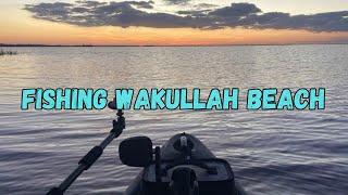 Kayak Fishing Wakullah Beach / First Time in Salt for my Salty 120 PDL!