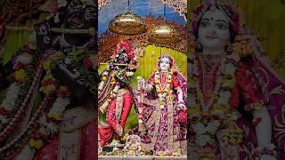 Hare krishna#harekrishna #radheradhe #radheshyam #krishna  #krishnadevotee #sanatani #isckon