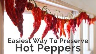 How to hang hot peppers to dry and turn them into chili powder or red pepper flakes.