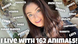 All My Pets 2021 | 160+ Pets!