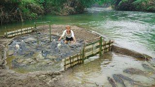 How to Trap Fish With Bamboo on Big Rivers During Flood Season. Pretty Girl Trap Big School Of Fish