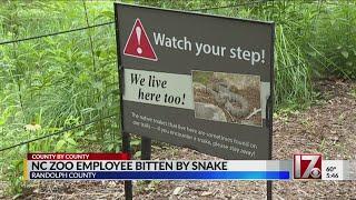 NC Zoo worker bitten by snake