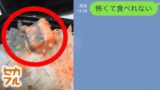 【衝撃】お弁当に入ってる「謎」の物体について母にLINEで訊いた結果ｗｗｗ「うちのかーちゃんおかしいよ・・・」【驚愕】セカイノフルエ