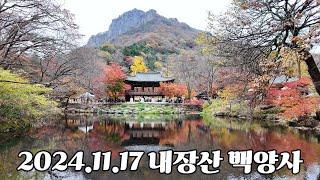 [Hiking] 내장산 국립공원 l 백양사 단풍 I Naejangsan National Park