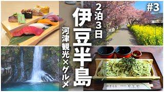 【伊豆半島旅行】河津桜発祥の地でおすすめ観光＆グルメと伊豆パノラマパークを堪能する夫婦ドライブvlog!!河津七滝/わさび園かどや/河津桜【3日目】