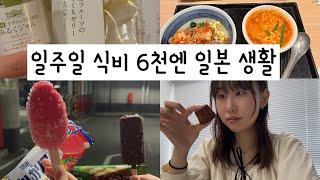 6천엔으로 일주일 버티기 도전? | 일본 나고야 유학생| 브이로그 찍으면서 가계부 쓰기| 일주일 챌린지