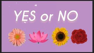 YES or NO Tarot Pick a Card Reading