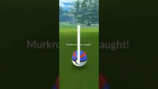 Pokemon go online games 2023 murkrow was caught All gaming