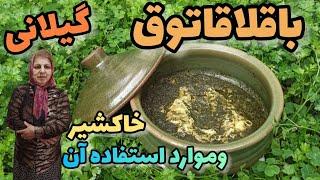 طرز تهیه باقلا قاتوق اصیل گیلانی ، غذای خوشمزه ، آشپزی سنتی ایرانی