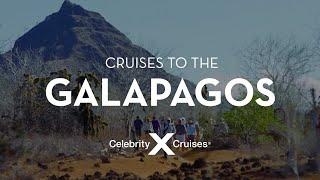 Explore the Galapagos Islands with Celebrity Cruises