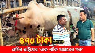 2025 কোরবানির সুঠাম দেহের গরু ৪৭০ টাক লাইভ ওয়েট অথবা ঠিকাই কিনতে পারবেন! cow price in Bangladesh