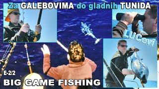 LUCevi na varalice - Prateći galebove do gladnih tunida / Big Game Fishing E-2/2 / VSP Igor Pavičić