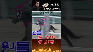 일본경마 한번 걸리면 죽는다 조팀장 원틀 적중!