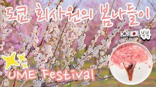 일본 브이로그 I 도쿄 직장인의 주말 나들이. 미토 매화 축제. 카이라쿠엔.Tokyo Life, Mito Ume Festival, Kairakuen, 東京VLOG、水戸梅まつり