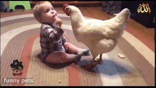 مقالب حيوانات مضحكة#FUNNY-PETS#Try not to laugh#مقالب - مضحكة