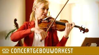 First violinist Marleen Asberg | Concertgebouworkest