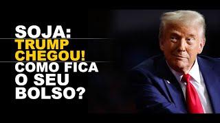 SOJA: TRUMP CHEGOU! COMO FICA O SEU BOLSO?