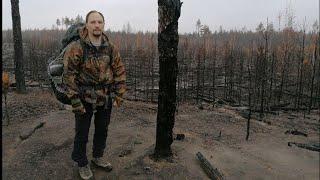 По следам НИЖЕГОРОДСКИХ ЛЕСНЫХ ПОЖАРОВ. Грустные кадры с места событий. ДОРОГУЧА и озеро ШУМСКОЕ.