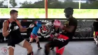 Tiger Muay Thai Sparring