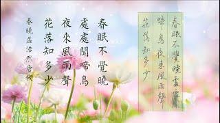 唐 孟皓然《春曉》 春眠不覺曉 處處聞啼鳥 （傳統吟唱）#硬筆書法 #唐诗 #唐詩詠 #唐诗唱成歌