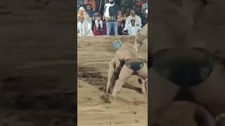 Super Special Kushti - Jassa Patti vs Rohit Kumar Delhi