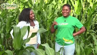 How This Unemployed Kenyan Graduate Started Farming On 1 Acre & Now Runs 50 Acres Of Maize Farm