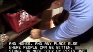 Pest Control Workers