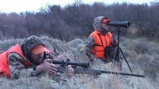 Huge Colorado Bull Elk - Extreme Outer Limits TV